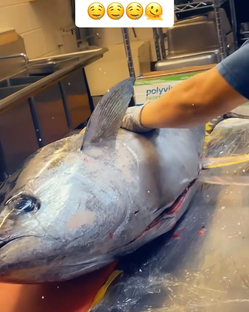 A large fresh ahi held at the Al Pastor Tacos truck